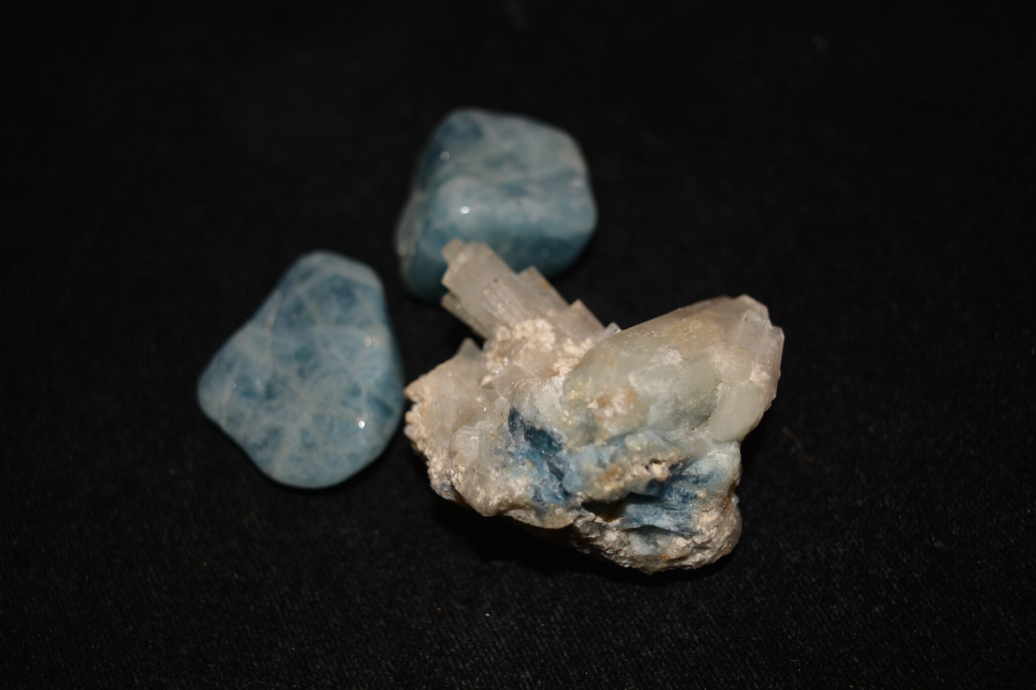 DSC_0117 copie